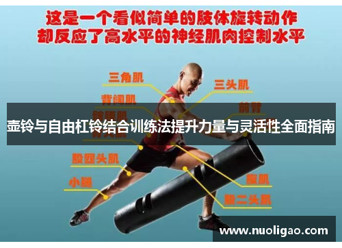 壶铃与自由杠铃结合训练法提升力量与灵活性全面指南