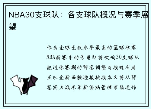 NBA30支球队：各支球队概况与赛季展望