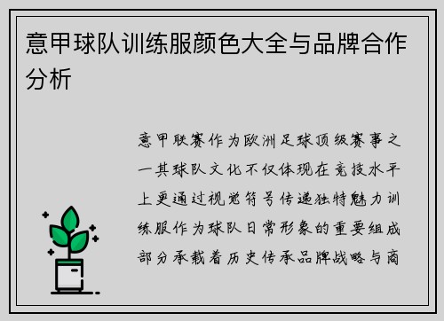 意甲球队训练服颜色大全与品牌合作分析