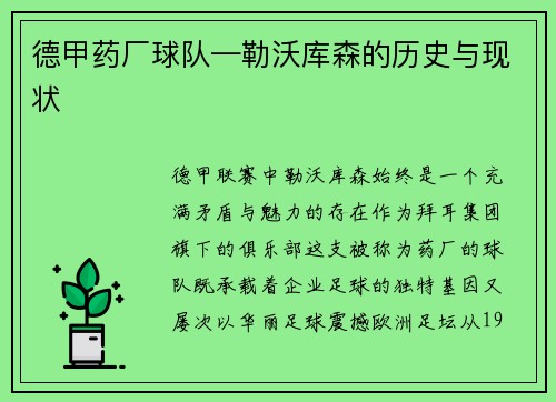 德甲药厂球队—勒沃库森的历史与现状